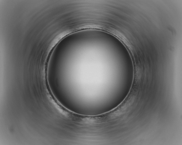 X0000110710898200906121352