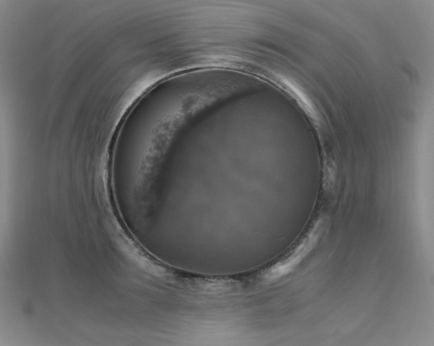 X0000110710899200906121352