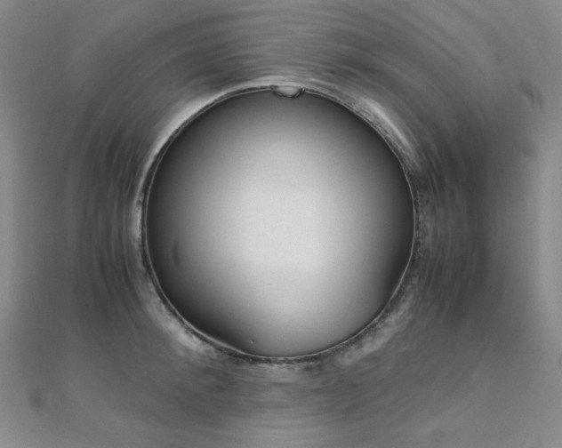 X0000110710900200906121352