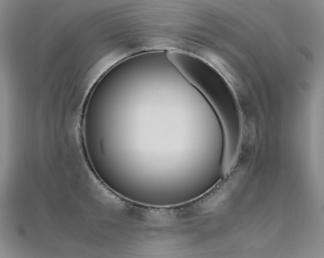 X0000110710901200906121352