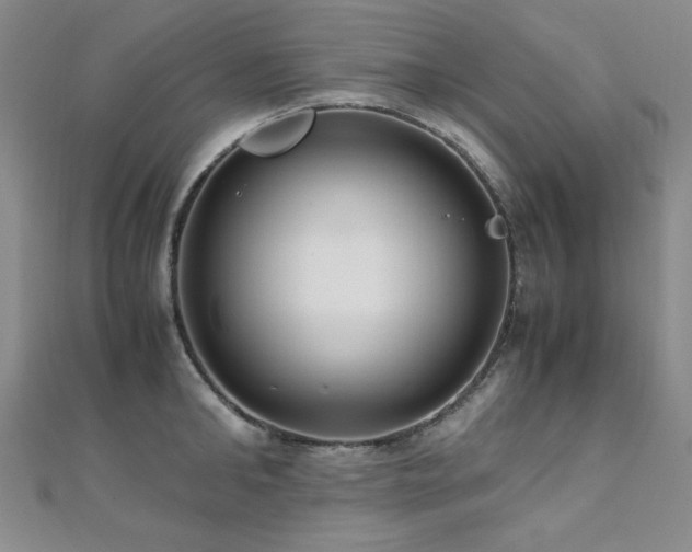 X0000110710902200906121352