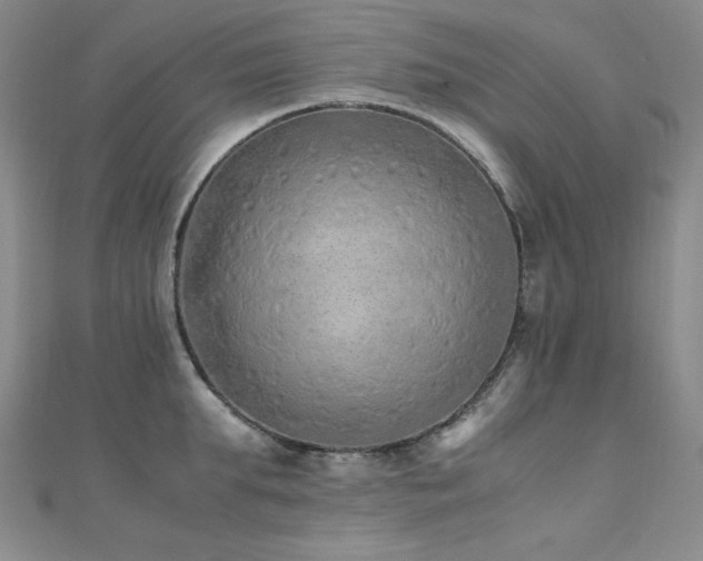 X0000110710903200906121352
