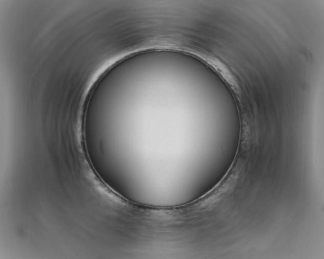 X0000110710904200906121352