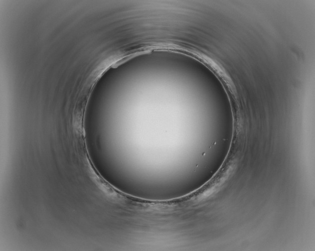 X0000110710905200906121352