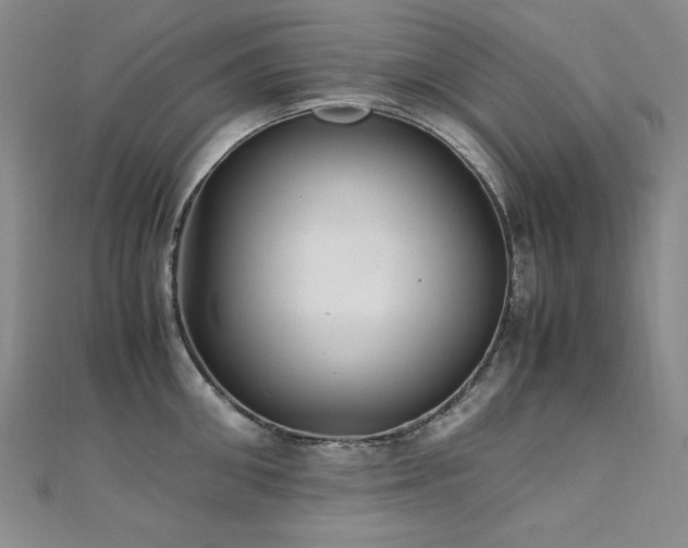 X0000110710906200906121352