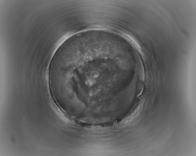 X0000110710907200906121352