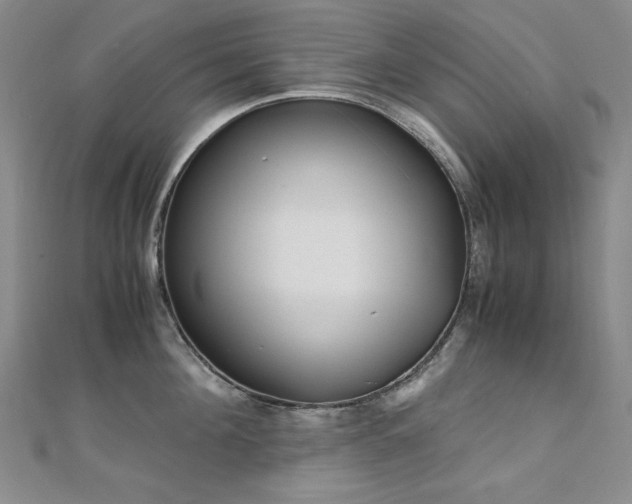 X0000110710908200906121352