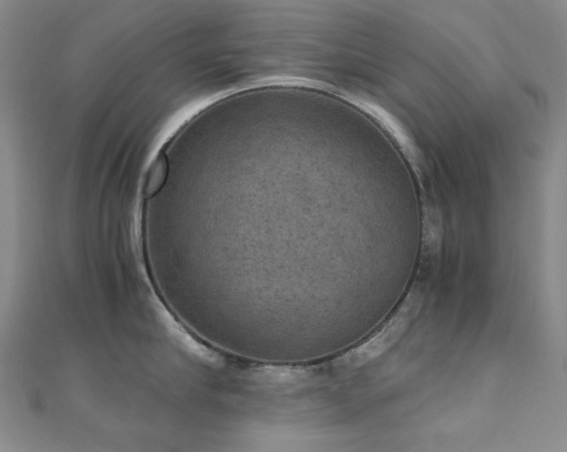 X0000110710910200906121352
