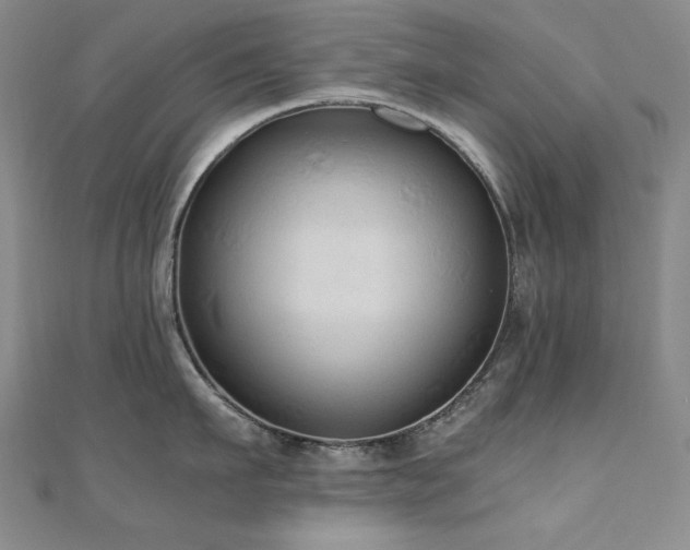 X0000110710911200906121352