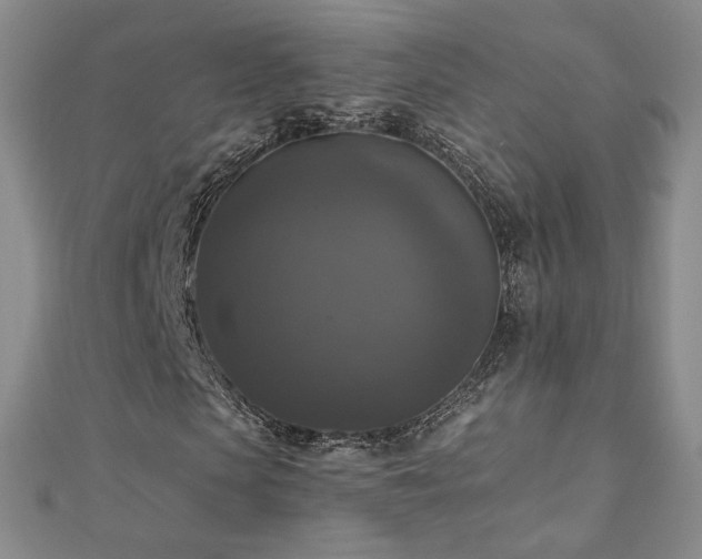 X0000110710913200906121351