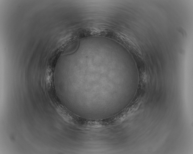 X0000110710914200906121351