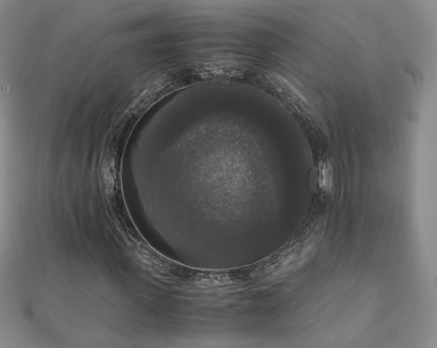 X0000110710915200906121351