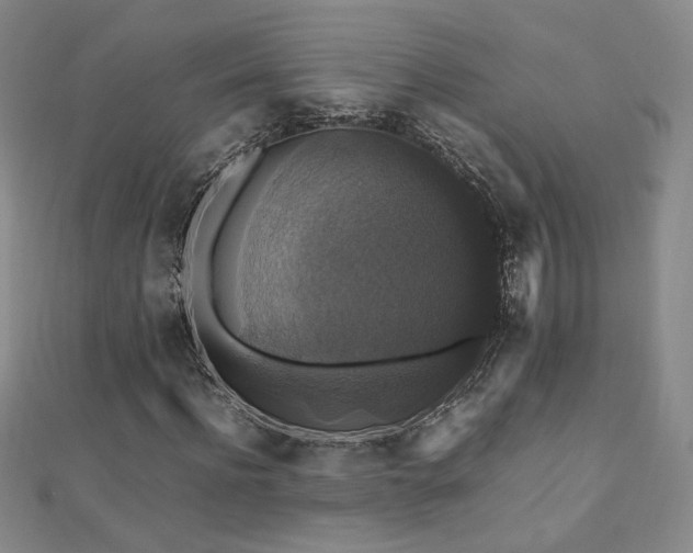 X0000110710916200906121351
