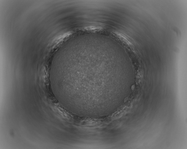 X0000110710917200906121351