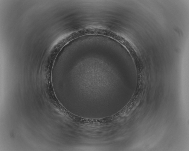 X0000110710919200906121351