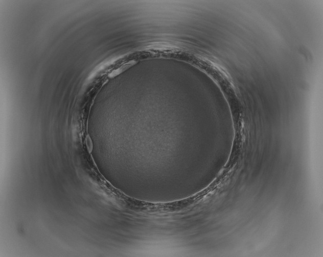 X0000110710920200906121351