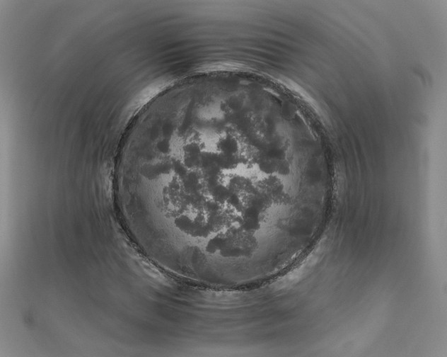 X0000110710921200906121351