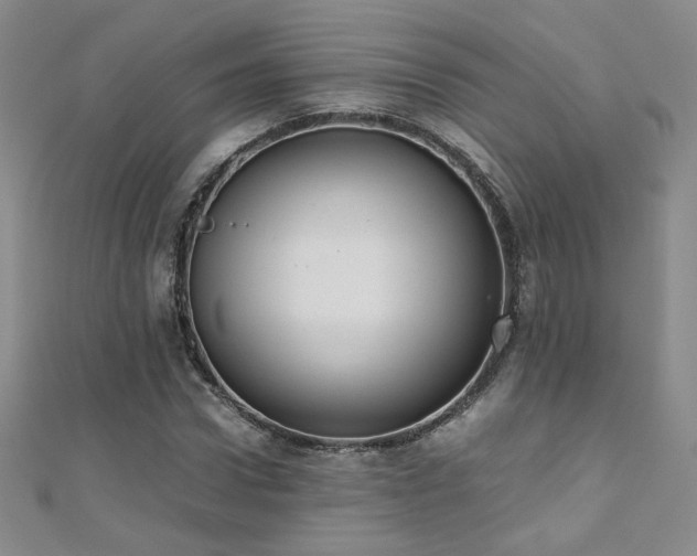 X0000110710922200906121351