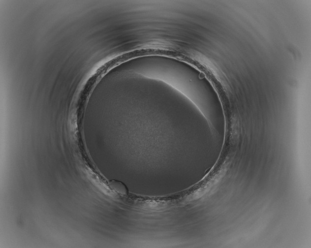 X0000110710923200906121351