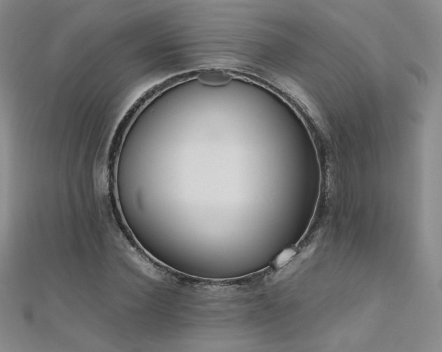 X0000110710924200906121351