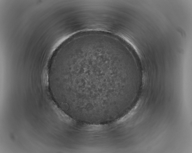 X0000110710925200906121351
