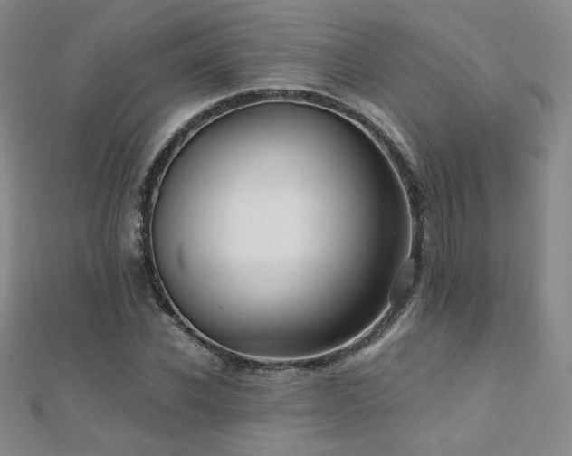 X0000110710926200906121351