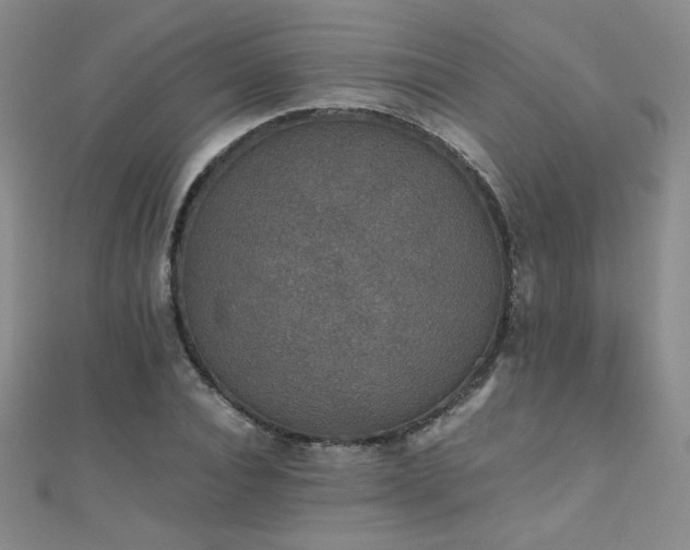 X0000110710928200906121351