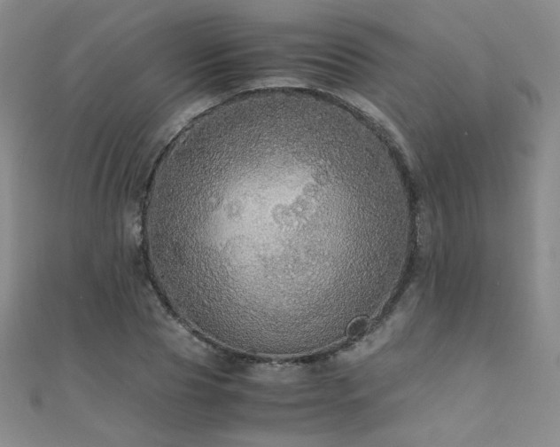 X0000110710929200906121351