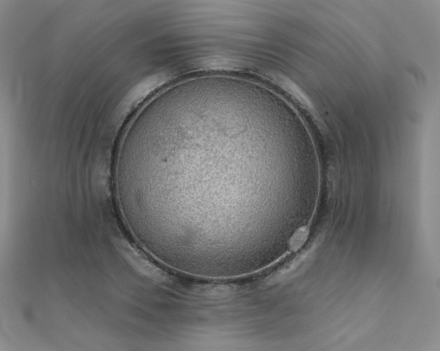 X0000110710930200906121351