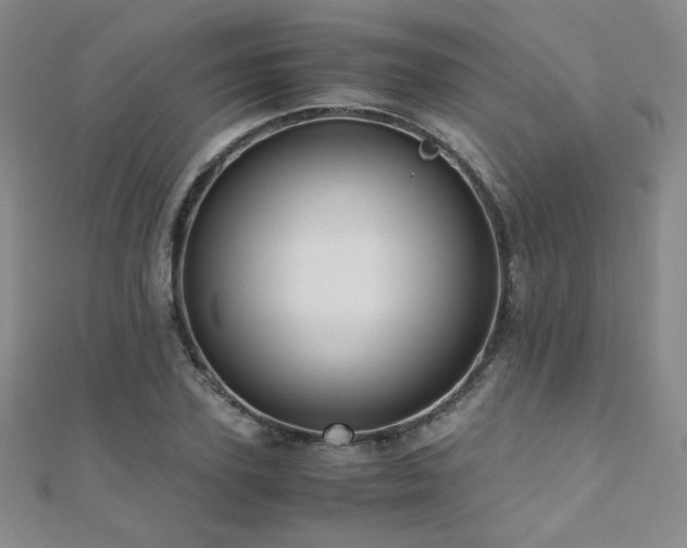 X0000110710931200906121351