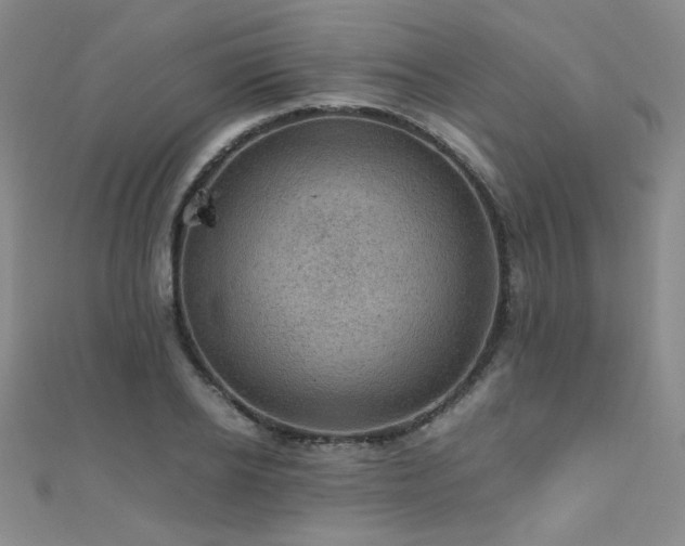 X0000110710934200906121351