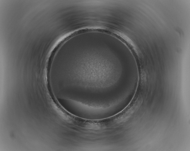 X0000110710935200906121351
