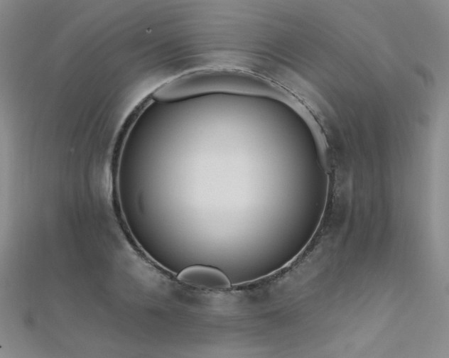 X0000110710936200906121351