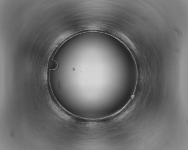 X0000110710938200906121351