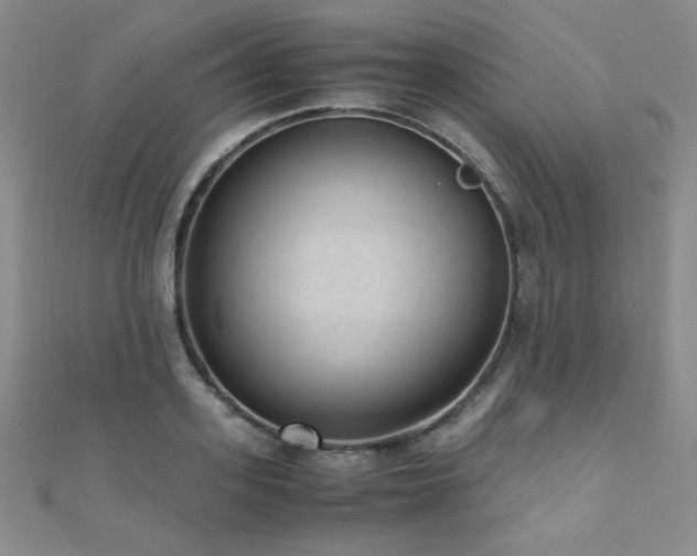 X0000110710939200906121351