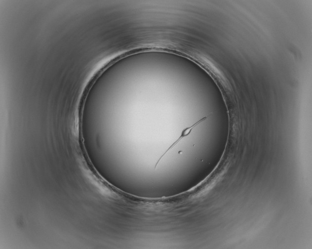 X0000110710940200906121351