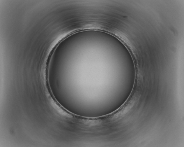 X0000110710941200906121351
