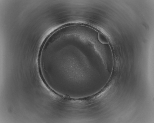 X0000110710943200906121351