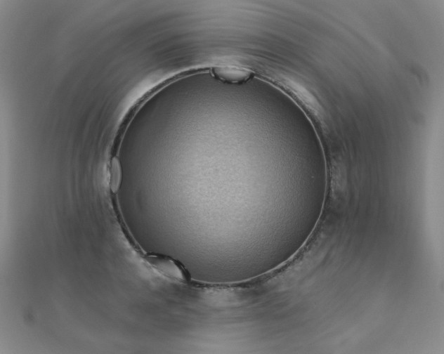 X0000110710944200906121351