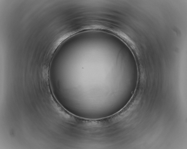 X0000110710945200906121351