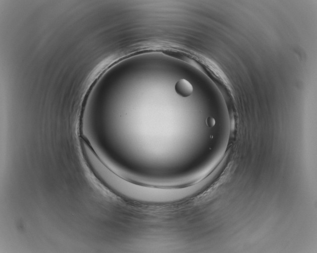 X0000110710946200906121352