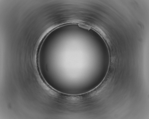 X0000110710947200906121352