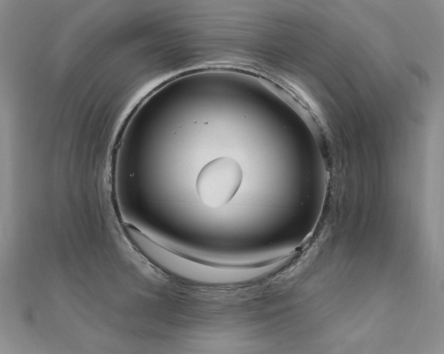 X0000110710948200906121352