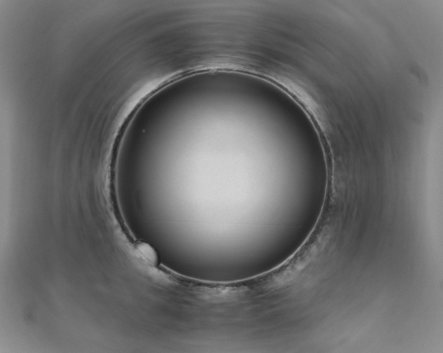 X0000110710949200906121352