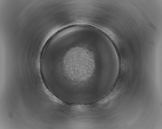 X0000110710950200906121352