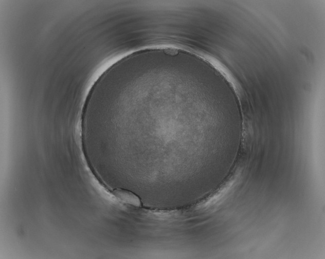 X0000110710951200906121352