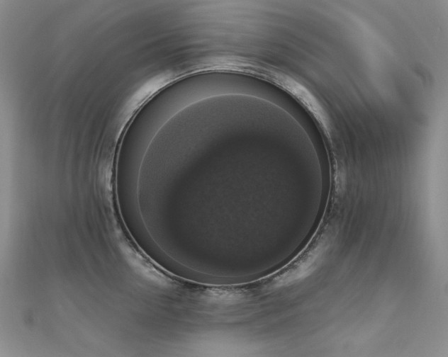 X0000110710954200906121352