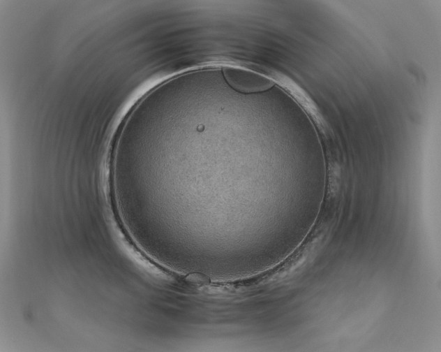 X0000110710955200906121352