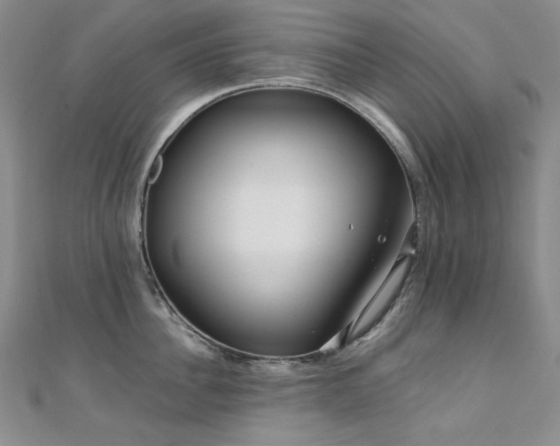 X0000110710956200906121352