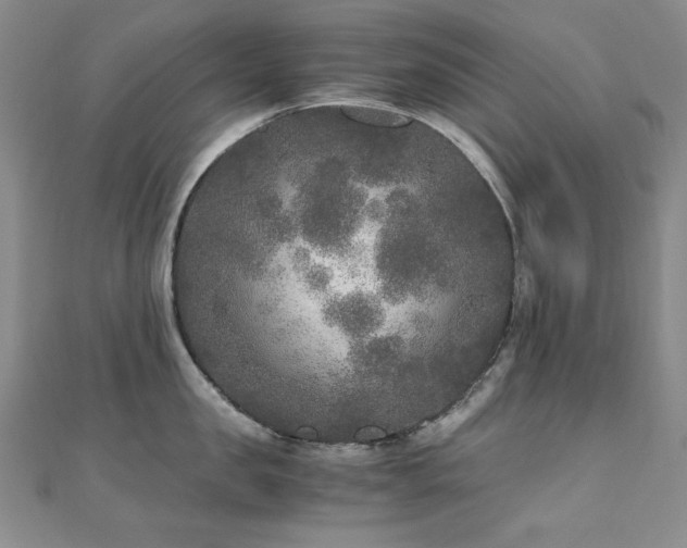 X0000110710957200906121352